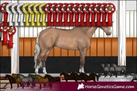 Horse Color:Silver Brown Dun Rabicano 