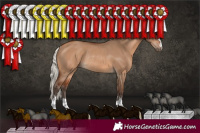 Horse Color:Silver Brown Dun Rabicano