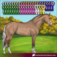 Horse Color:Silver Brown Dun Rabicano 