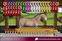 Horse Color:Sable Champagne Sabino 