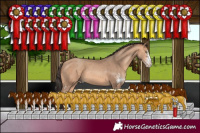 Horse Color:Sable Champagne Sabino 