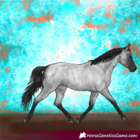 Horse Color:Smoky Blue Roan 