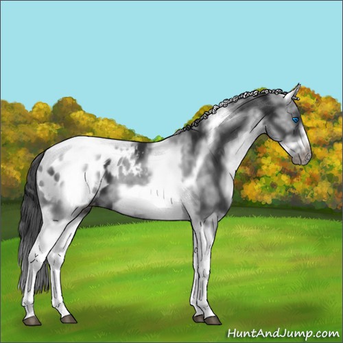 Horse Color:White Spotted Black Splash Tobiano Frame Blanket