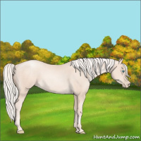 Horse Color:Gold Cream Champagne Pearl