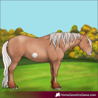 Horse Color:Silver Sable Champagne Frame 