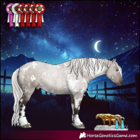 Horse Color:White Spotted Silver Brown Dun Mushroom 