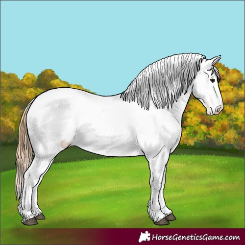 Horse Color:Black Pearl Varnish Rabicano 