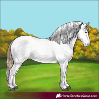 Horse Color:Black Pearl Varnish Rabicano
