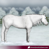 Horse Color:Gray Platinum Silver Smoky Black Pearl Tobiano