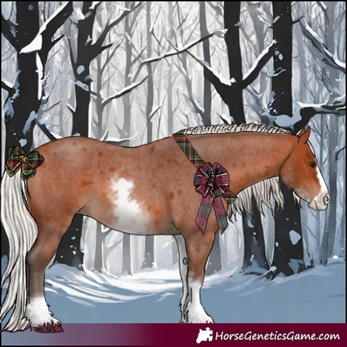 Horse Color:White Spotted Silver Bay Roan Splash
