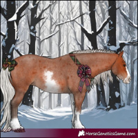 Horse Color:White Spotted Silver Bay Roan Splash 