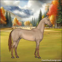 Horse Color:Red Dun Rabicano 