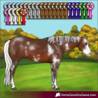 Horse Color:Silver Brown Sabino 