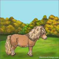 Horse Color:Chestnut Rabicano