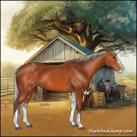 Horse Color:White Spotted Silver Bay Splash