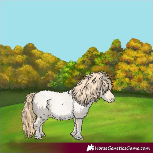 Horse Color:Buckskin Roan Pearl  and Buckskin Roan Pearl 