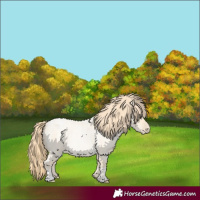 Horse Color:Buckskin Roan Pearl and Buckskin Roan Pearl