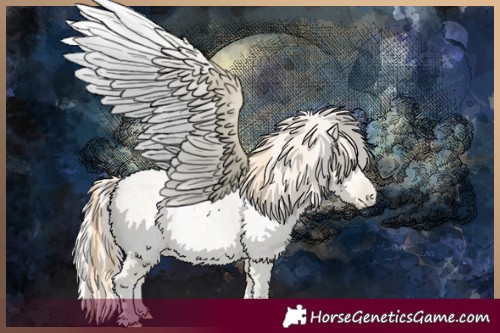 Horse Color:Buckskin Roan Pearl  and Amber Cream Champagne Roan Pearl 