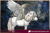 Horse Color:Buckskin Roan Pearl  and Amber Cream Champagne Roan Pearl 