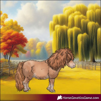 Horse Color:Gold Champagne 