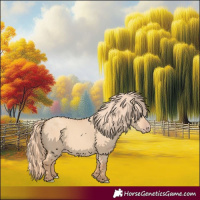 Horse Color:Gold Champagne Dun 