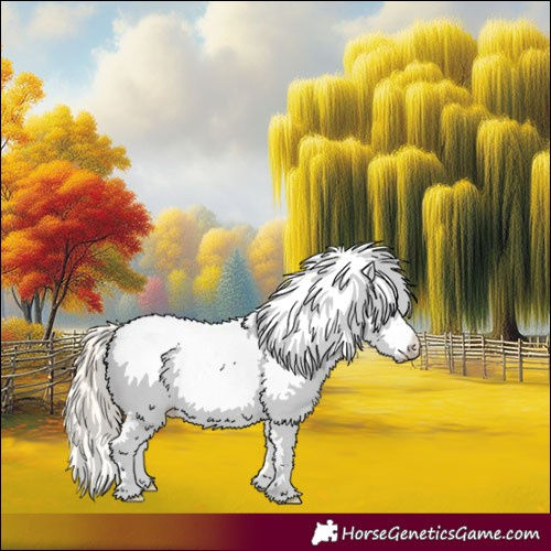 Horse Color:Palomino Appaloosa