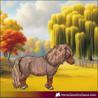 Horse Color:Red Roan 
