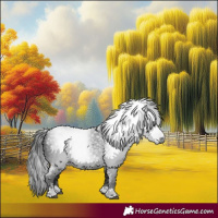 Horse Color:Gray Black 