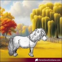 Horse Color:Gray Black 