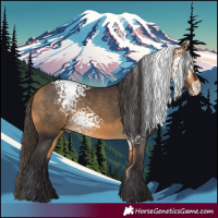 Horse Color:White Spotted Buckskin