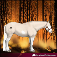 Horse Color:Silver Classic Champagne Dun Splash Frame 