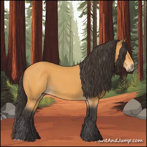 Horse Color:Buckskin 