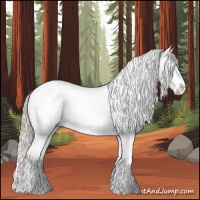 Horse Color:White Spotted Silver Bay Splash
