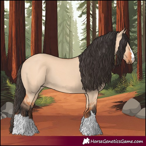 Horse Color:Bay Dun