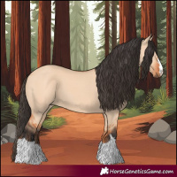 Horse Color:Bay Dun