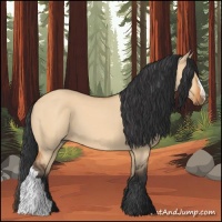 Horse Color:Bay Dun