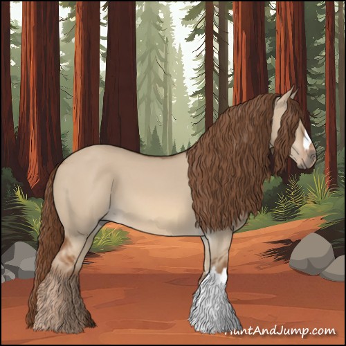 Horse Color:Red Dun 