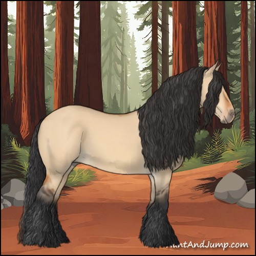 Horse Color:Bay Dun
