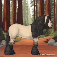 Horse Color:Bay Dun