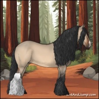 Horse Color:Bay Dun