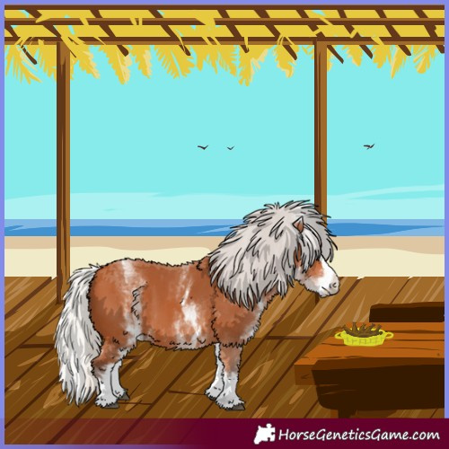 Horse Color:White Spotted Silver Bay Splash 