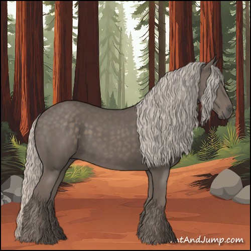 Horse Color:Silver Black