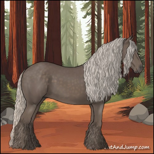 Horse Color:Silver Black 