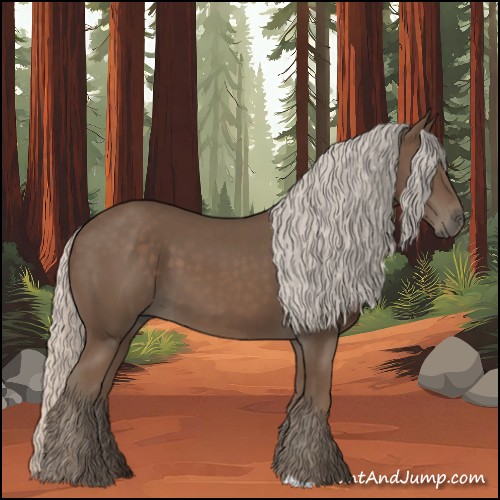 Horse Color:Silver Black