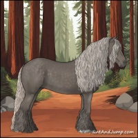 Horse Color:Silver Black 