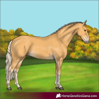 Horse Color:Palomino 