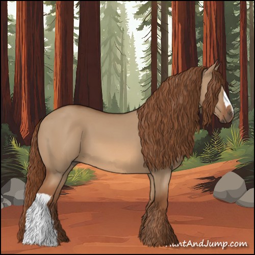 Horse Color:Red Dun 