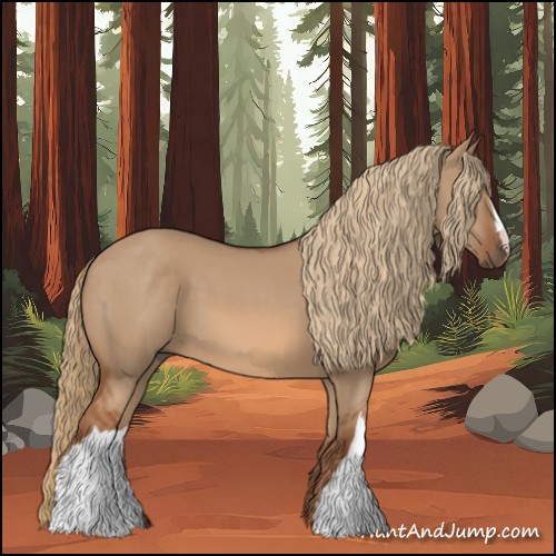 Horse Color:Red Dun 
