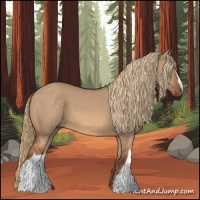 Horse Color:Red Dun 