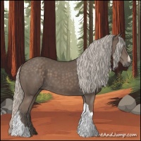 Horse Color:Silver Black 